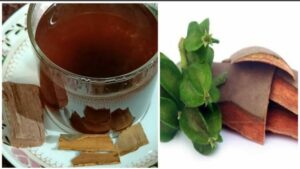 Arjun's Tea: पीजिए 'अर्जुन' की चाय- काबू में रहेगा हाई ब्लड प्रेशर और बढ़ता कोलेस्ट्रॉल पढ़िए डिटेल में