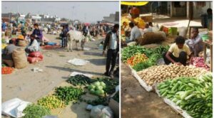 poor quality vegetables: ऐसी सब्जियां भी खूब; जिम्मेदारों ने साधा मौन धड़ल्ले से बेची जा रही गुणवत्ताहीन सब्जियां