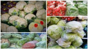 फ़ूड ग्रेड पालिथीन नहीं, फिर भी सब्जियों की पैकिंग, सब्जीबाड़ियों और होलसेल मार्केट में खूब