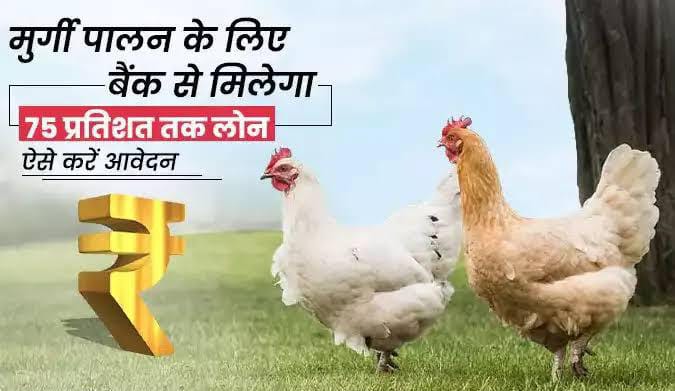 Beneficial for farmers | मुर्गीपालन का यह आइडिया बदल सकता है किसानों की जिंदगी | किसानों के लिए लाभदायक है सौदा