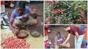 litchi fruit sale: भांसी पोरोकमेली मे लीची की बदौलत भीमा की कैसे बदली जिन्दगी? सीजन में लीची फल विक्रय से कृषक को हो रही है 08 से 10 हजार की रोज आमदनी