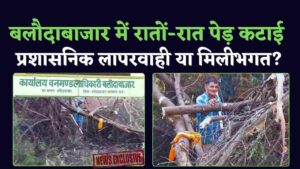 Baloda Bazar में अवैध पेड़ कटाई (Chhattisgarh Talk)