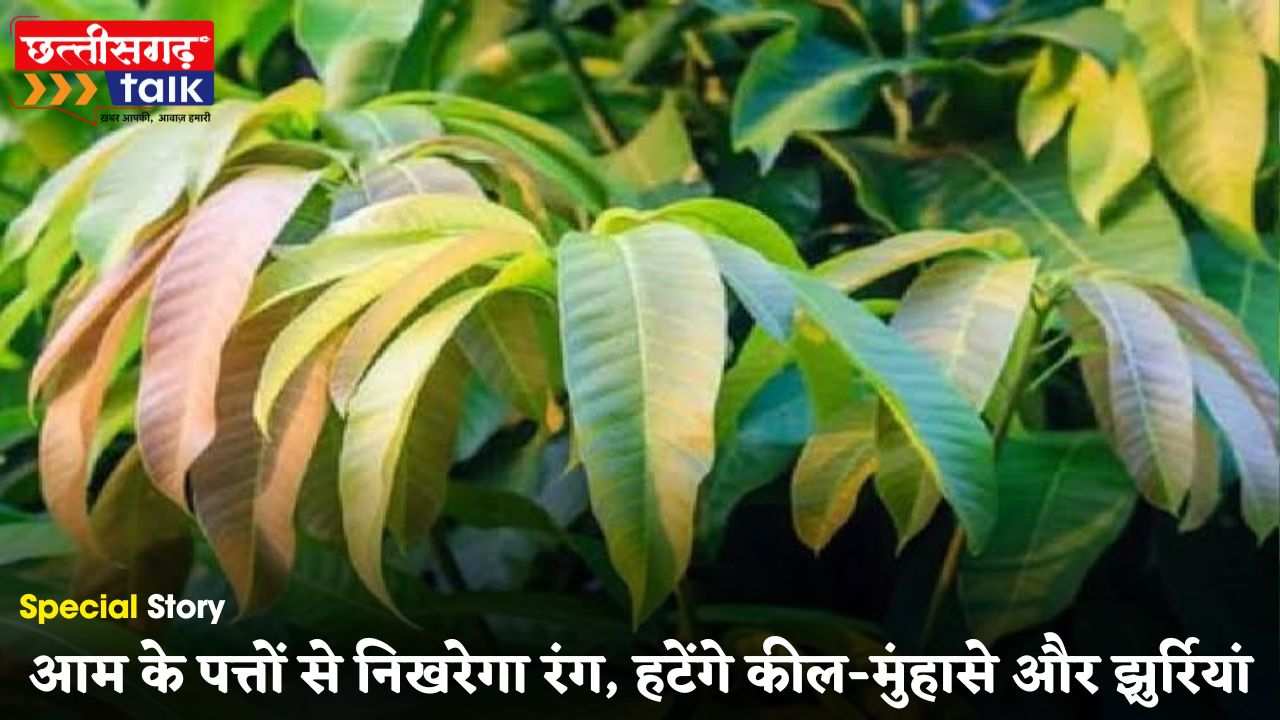 आम के पत्तों से निखरेगा रंग, हटेंगे कील-मुंहासे और झुर्रियां | स्किन केयर के लिए नैचुरल तरीका (Chhattisgarh Talk)