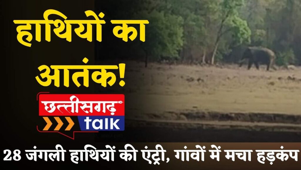 28 हाथियों का आतंक! अर्जुनी परिक्षेत्र में दहशत का साया, गांवों में मची अफरा-तफरी (Chhattisgarh Talk)