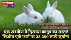 बीमार जानवर बेचने पर शिओम एग्रो फार्म पर 28,350 रुपये का जुर्माना, बलौदाबाजार उपभोक्ता फोरम का बड़ा फैसला (Chhattisgarh Talk)