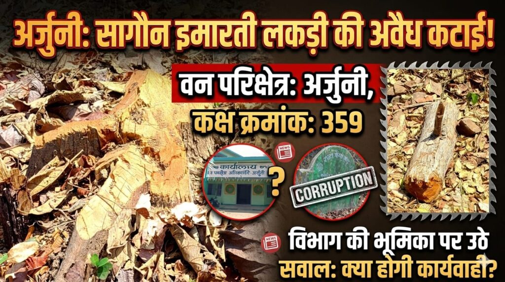 कसडोल उपवनमंडल के जंगलों पर आरी का प्रहार से सागौन साफ़.