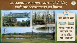 बारनवापारा अभयारण्य : वन्य जीवों के  लिए पानी और आवास प्रबंधन का मिसाल 