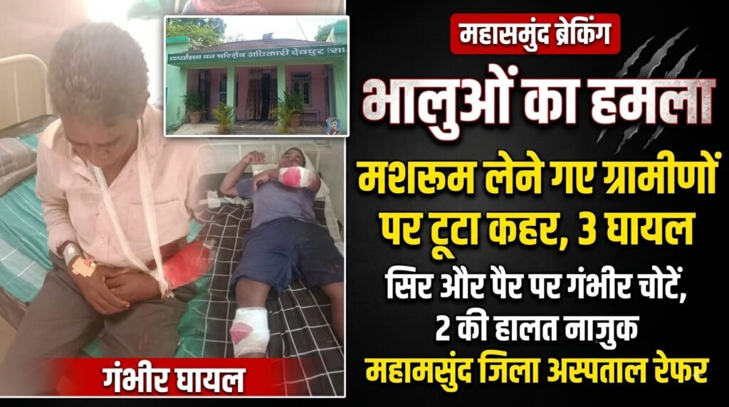 जंगल में मशरूम लेने गए ग्रामीणों पर टूट पड़े 3 भालू, तीन घायल; दो की हालत गंभीर