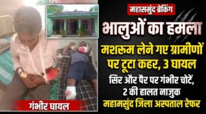 जंगल में मशरूम लेने गए ग्रामीणों पर टूट पड़े 3 भालू, तीन घायल; दो की हालत गंभीर
