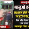 जंगल में मशरूम लेने गए ग्रामीणों पर टूट पड़े 3 भालू, तीन घायल; दो की हालत गंभीर