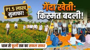 फूलों की खेती की ओर बढ़ रहे किसान, सिमगा ब्लॉक में 30 एकड़ में गेंदा की खेती