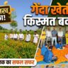 फूलों की खेती की ओर बढ़ रहे किसान, सिमगा ब्लॉक में 30 एकड़ में गेंदा की खेती